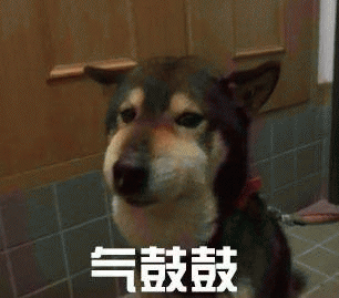 气鼓鼓表情包 [没猜错应该是掏了蜜蜂窝吧？]