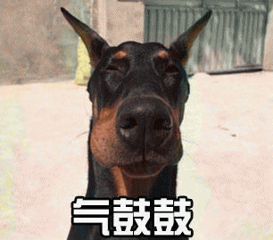 气鼓鼓表情包 [没猜错应该是掏了蜜蜂窝吧？]