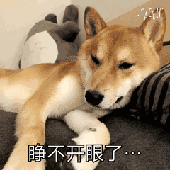 柴犬表情包  [天大地大睡觉最大]