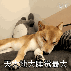 柴犬表情包  [天大地大睡觉最大]