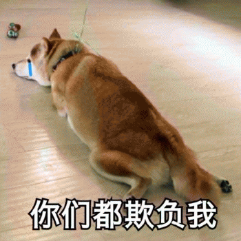 狗子表情包 [表面稳如狗 内心慌得一批]