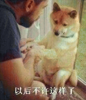 狗子表情包 [表面稳如狗 内心慌得一批]