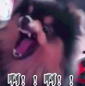 狗子表情包 [表面稳如狗 内心慌得一批]