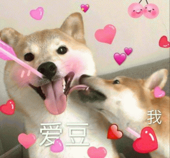 狗子表情包 [表面稳如狗 内心慌得一批]