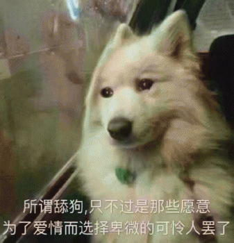 舔狗表情包 [所谓舔狗，为了爱情而选择卑微的可怜人罢了]