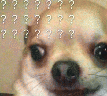 沙雕狗狗表情包 [大家都听我说，你们都是狗]