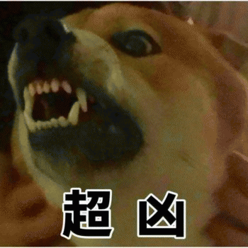 沙雕狗狗表情包 [大家都听我说，你们都是狗]