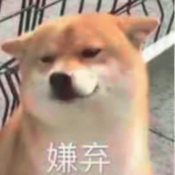 沙雕狗狗表情包 [大家都听我说，你们都是狗]