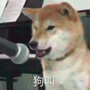 沙雕狗狗表情包 [大家都听我说，你们都是狗]