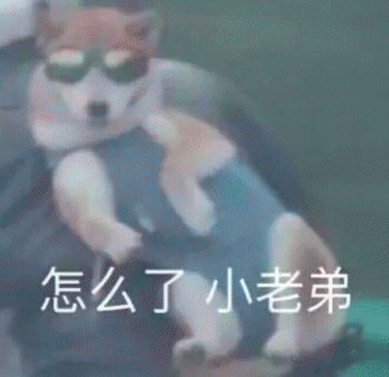 沙雕狗狗表情包 [大家都听我说，你们都是狗]