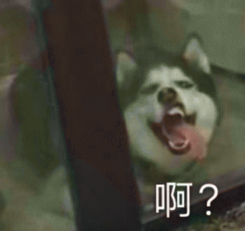 沙雕狗狗表情包 [大家都听我说，你们都是狗]