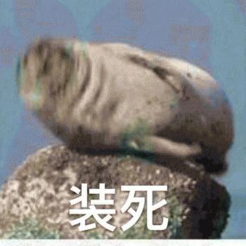 沙雕狗狗表情包 [大家都听我说，你们都是狗]