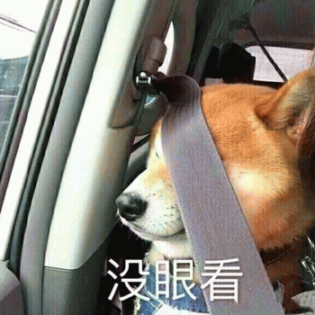 狗狗表情包带字 [这双狗眼看透太多了]