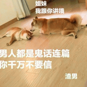 狗狗表情包带字 [这双狗眼看透太多了]