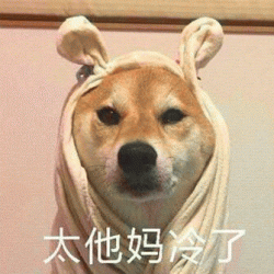 <b>狗狗带字微信聊天表情包大全</b>