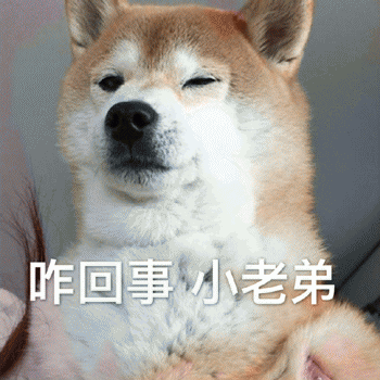 狗狗表情包带字 [这双狗眼看透太多了]