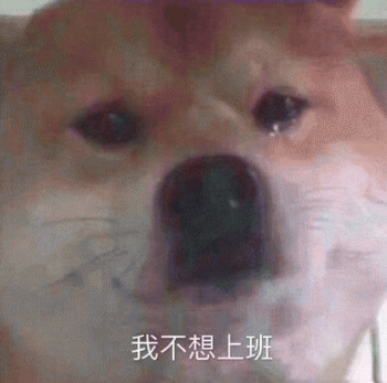 狗狗表情包带字 [这双狗眼看透太多了]