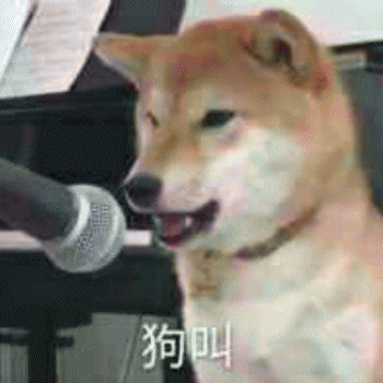 狗狗表情包带字 [这双狗眼看透太多了]