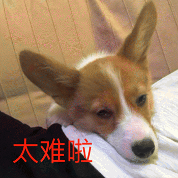 狗狗表情包带字 [这双狗眼看透太多了]