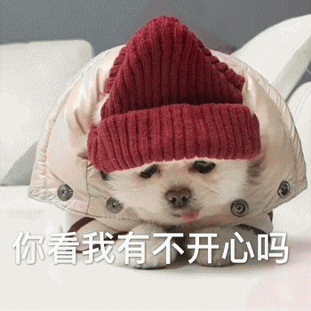 狗狗表情包带字 [这双狗眼看透太多了]