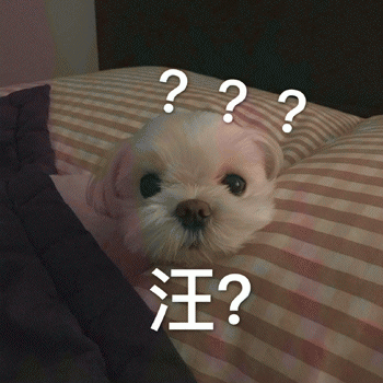 狗狗表情包带字 [这双狗眼看透太多了]