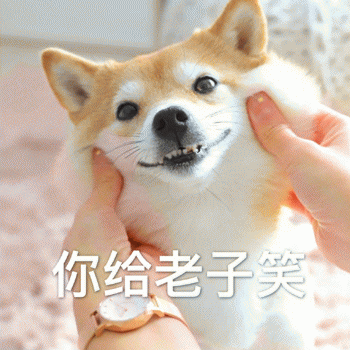 狗狗表情包带字 [这双狗眼看透太多了]