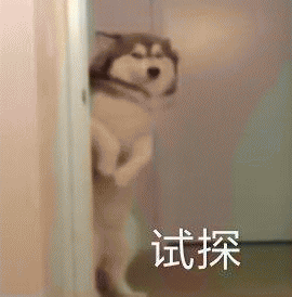 狗狗祟祟表情包 [各种变装的狗狗试探表情]