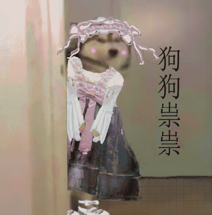 狗狗祟祟表情包 [各种变装的狗狗试探表情]