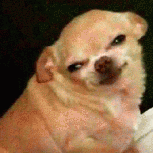 吉娃娃表情包 [我想这是用表情包的最高境界]