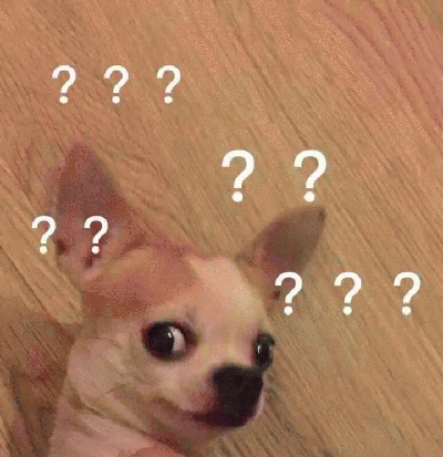 吉娃娃表情包 [我想这是用表情包的最高境界]