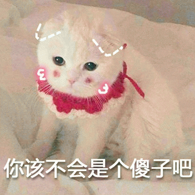 小白猫表情包 [你该不会是个傻子吧]