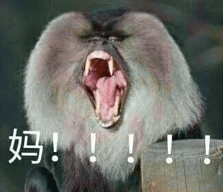 呼叫妈妈的表情包 [给你妈发微信不理你 就发这些表情包过去]