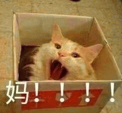 呼叫妈妈的表情包 [给你妈发微信不理你 就发这些表情包过去]