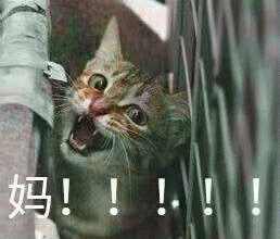 呼叫妈妈的表情包 [给你妈发微信不理你 就发这些表情包过去]