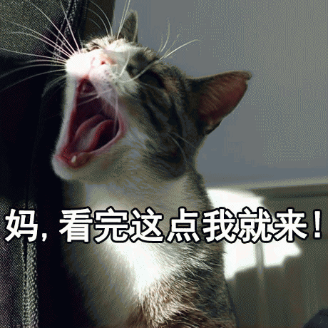 呼叫妈妈的表情包 [给你妈发微信不理你 就发这些表情包过去]