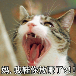 呼叫妈妈的表情包给妈发微信不理你