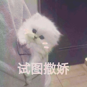 猫咪喊老公的表情包 [悄咪咪的偷窥老公]