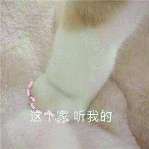 猫咪喊老公的表情包 [悄咪咪的偷窥老公]