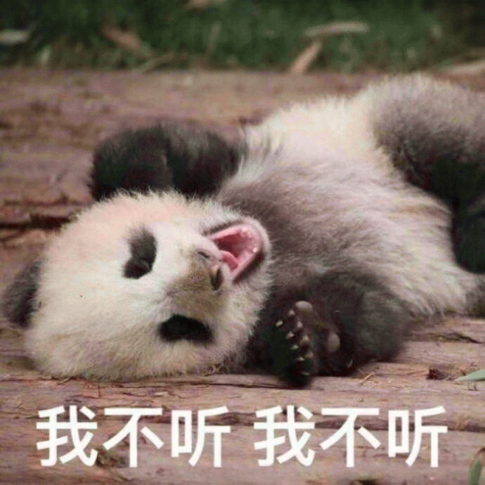 大熊猫表情包 [老公！我来看你来了！]