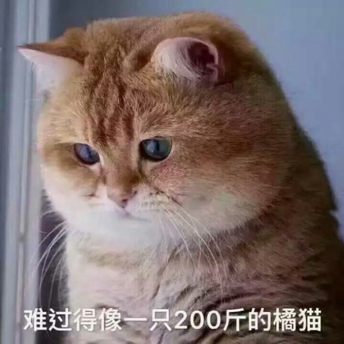 猫咪表情包 [难过的就像一个200斤的橘猫]