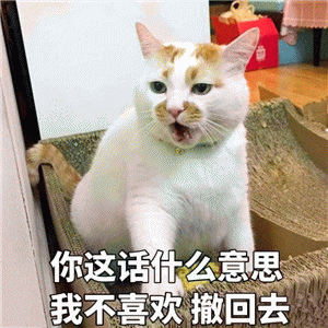 猫咪萌系表情包 [我小猫咪无话可说]