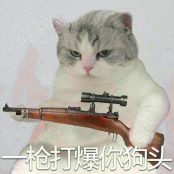 日常吸猫表情包 [哈哈哈哈哈哈 你没我萌吧！]