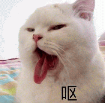日常吸猫表情包 [哈哈哈哈哈哈 你没我萌吧！]