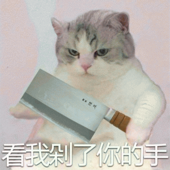 日常吸猫表情包 [哈哈哈哈哈哈 你没我萌吧！]