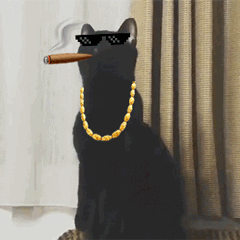 长脖子黑猫动态表情包 [dei dei dei 你说的都dei]