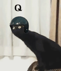 长脖子黑猫动态表情包 [dei dei dei 你说的都dei]