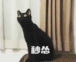 长脖子黑猫动态表情包 [dei dei dei 你说的都dei]