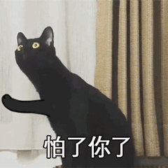长脖子黑猫动态表情包 [dei dei dei 你说的都dei]