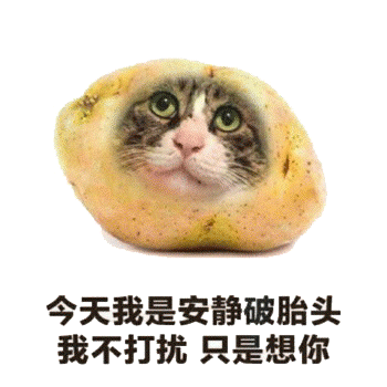 水果流泪表情包 [今天我是臭屁慢狗，我不流泪只是骂人]