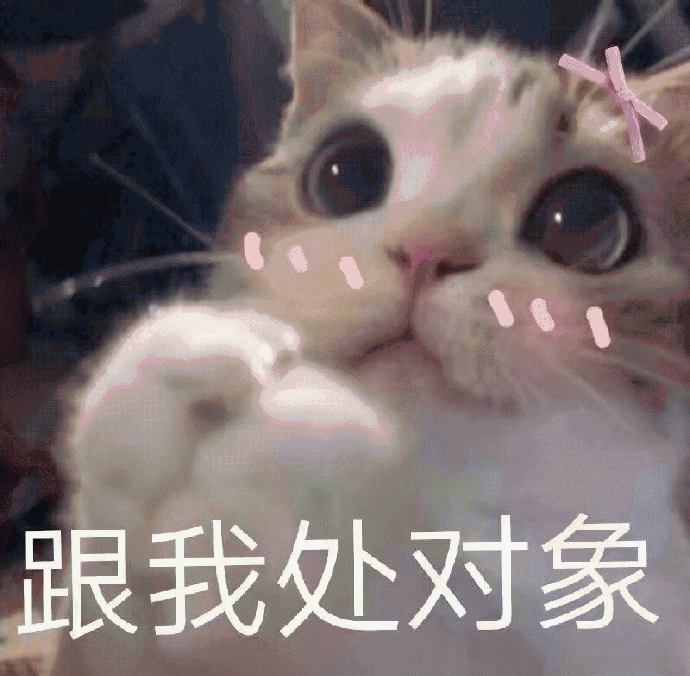 猫咪带字表情包[最近很火的表情包猫都在这里]全套200张